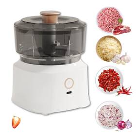Ddsnq-01 Anfllwjz Electric Garlic Chopper And Food - 350ml Usb Rechargeable Cordless Blen