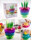 Yafrpl Unbranded In Manual Fruit Vegetable Juicer Squeezer Cutter Masher