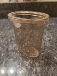 Regal Machine V813 Food Processor Pusher Only Replacement Part Amber. Fixed Price $6.99.