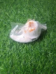 Farberware FP3000FBS Food Processor Replacement Part Small Chopping Blade. Fixed Price $18.95.