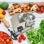 Multi-function Food Processor 110V Vegetable Chopper 6L Commercial Meat Grinder. Fixed Price $619.65.