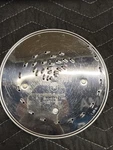 Cuisinart Disc Blade For DLC-7 Food Processor 034 Fine Shredding. Fixed Price $10.99.