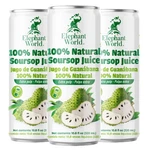 Elephant World 100 Natural Soursop Guanabana Juice 10.8 Oz Pack Of 12,. Fixed Price $43.36.