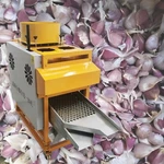 Electric Garlic Clove Separator 110V 400KG/H Divider Splitter +mesh. Fixed Price $2415.70.
