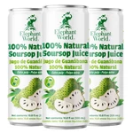 100% Natural Soursop Guanabana Juice 10.8 Oz (pack Of 12),. Fixed Price $56.47.